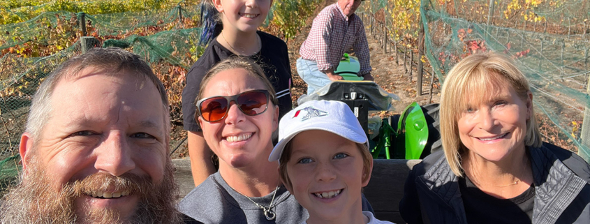 Olive Oil Harvesting