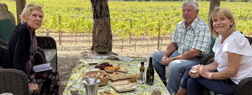 Carmelo Vineyards in Carmel California