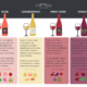 Expert Review: Professional Tasting Notes on Carmelo Vineyards Wines