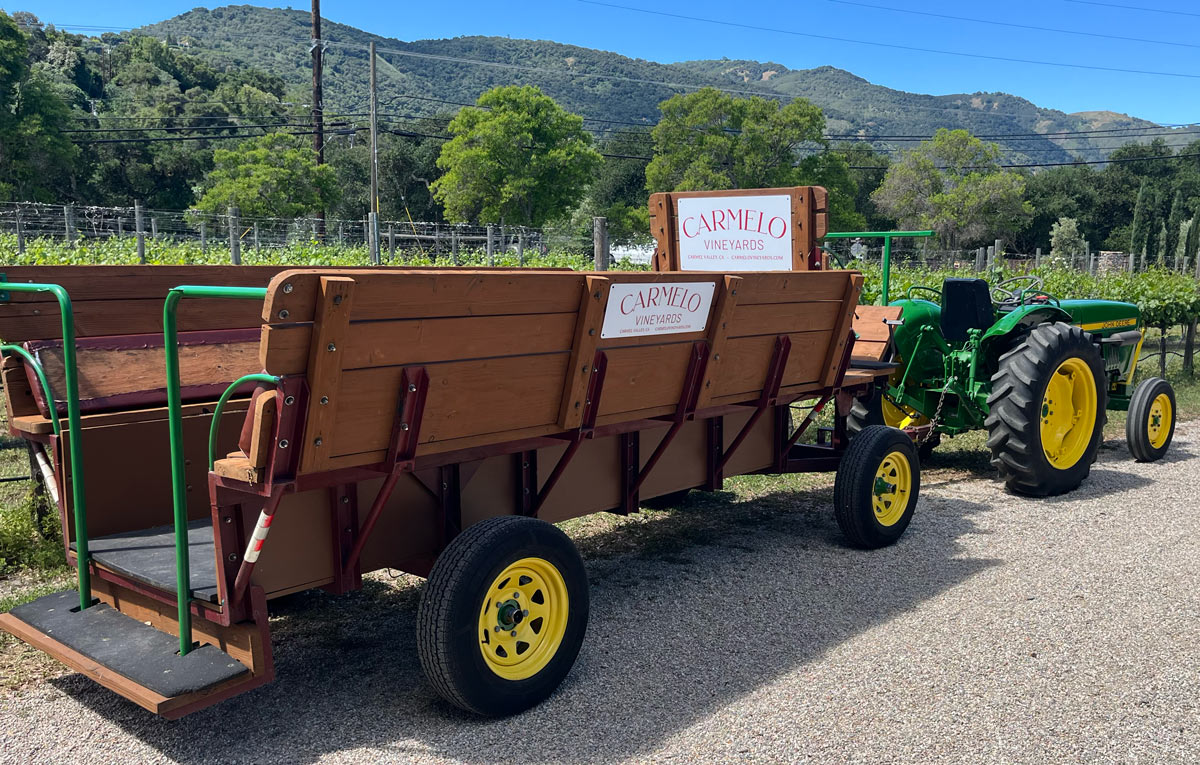 Carmelo Vineyard Winery Tour