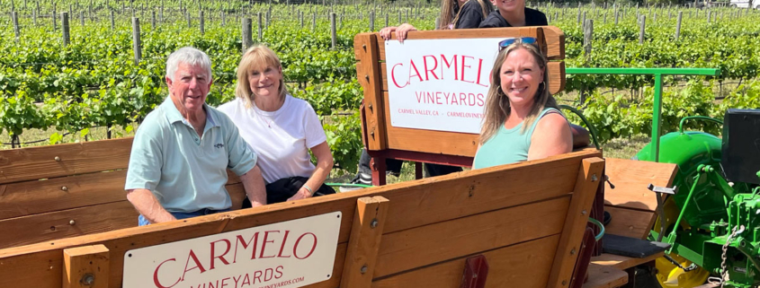 Carmelo Vineyard Winery Tour