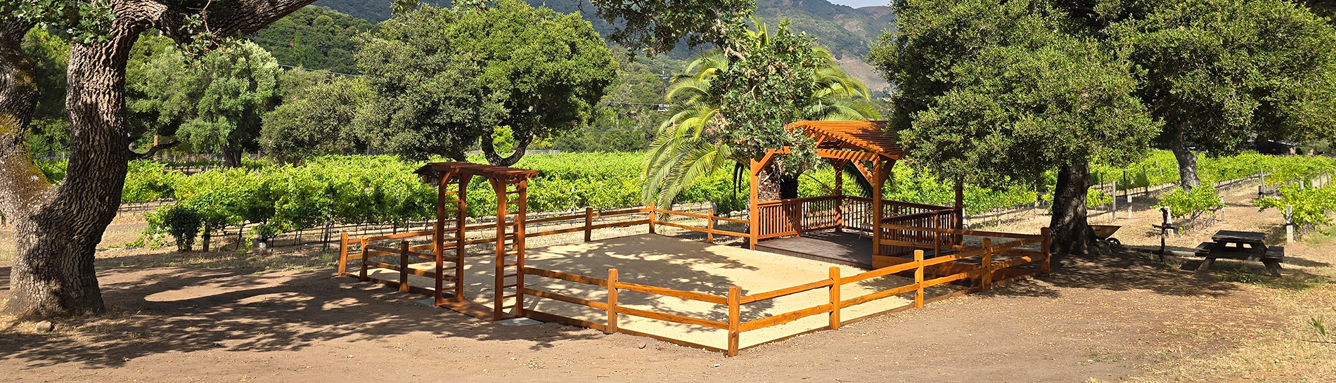 Winery Wedding in Carmel